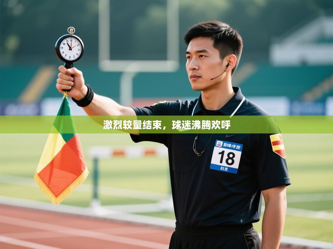 激烈较量结束,球迷沸腾欢呼 第2张