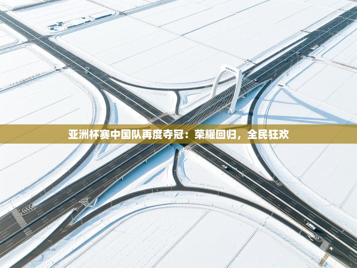 亚洲杯赛中国队再度夺冠：荣耀回归，全民狂欢